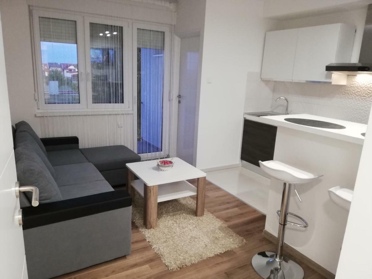 Apartman Skribulja ジュパニャ エクステリア 写真
